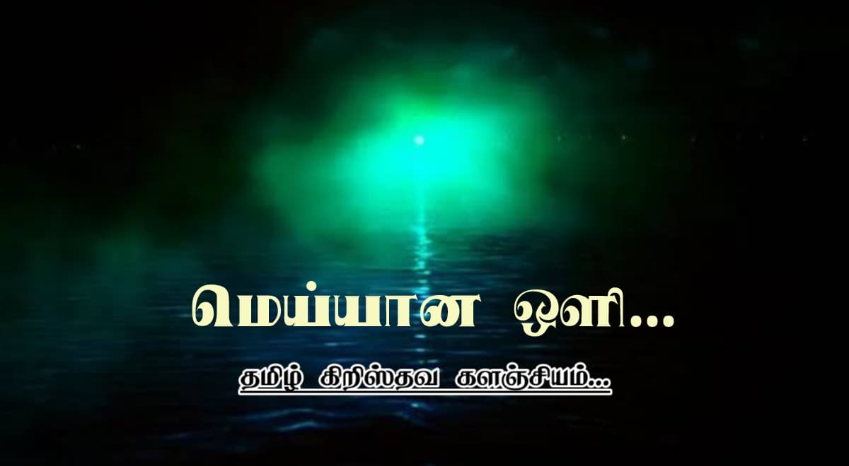 WhatsApp Image 2025 03 01 at 20.51.00 44efcfd7