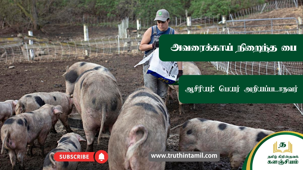 அவரைக்காய் நிறைந்த பை