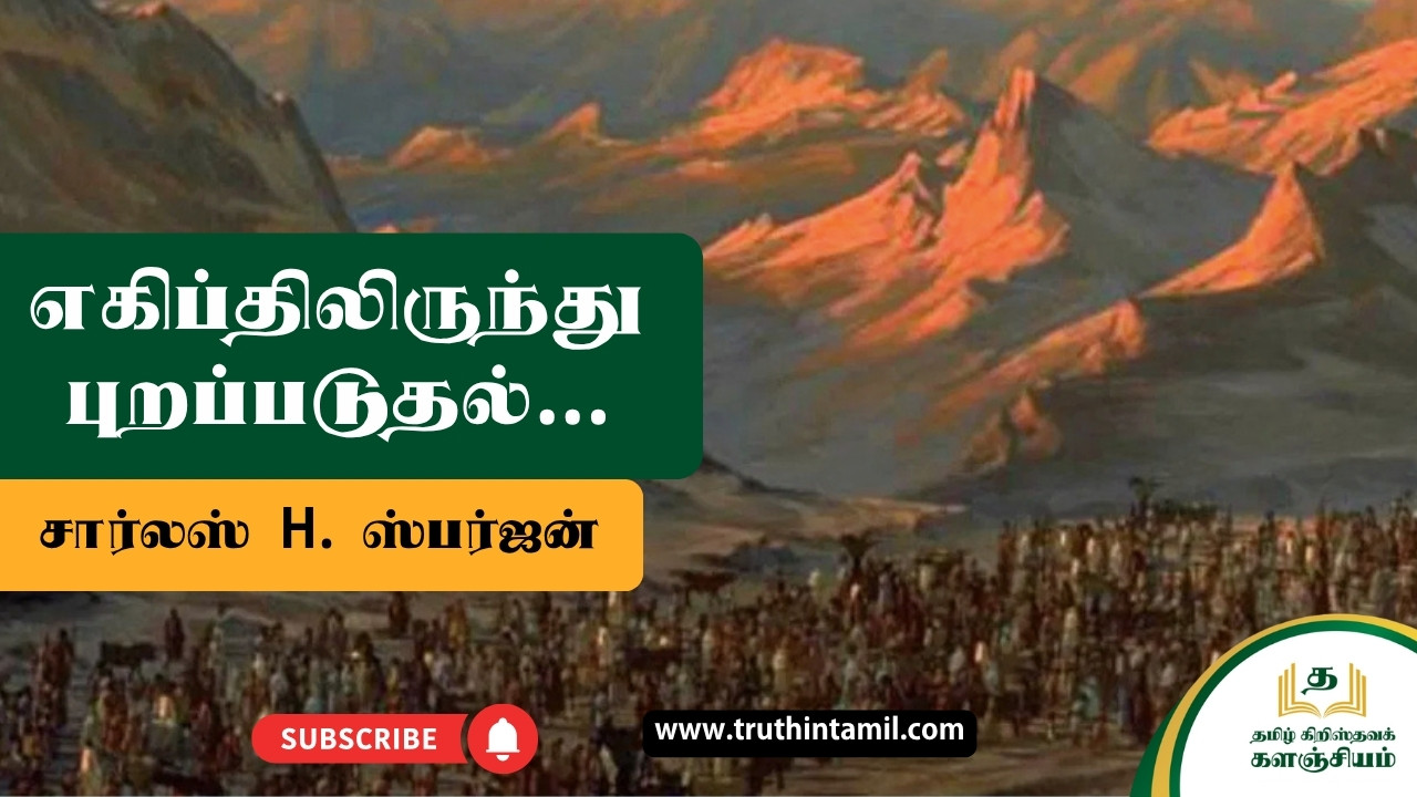 எகிப்திலிருந்து புறப்படுதல்